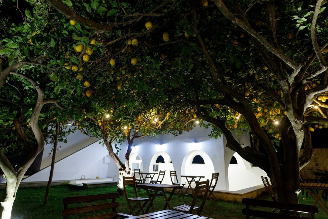 Nighttime view of the hotel's outdoor seating area beneath illuminated lemon trees with Mediterranean-style white architecture in the background.